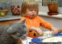 Пельмени и кот.jpeg