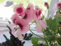 Изображение 1132.jpg