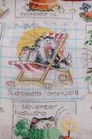 котик август.jpg