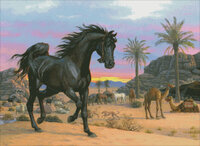 Arabian Sunset SANDERSON 4260.jpg