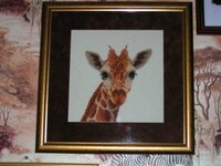 Жираф.JPG