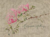 MTSA Rose Marguerite Hilling.jpg