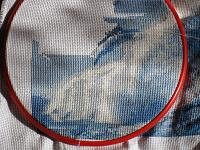 дельфины 4.jpg