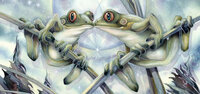 QS Kissing Frogs (Jody Bergsma).jpg