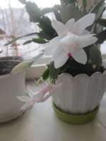 Изображение 251.jpg