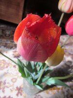 Изображение 2606.jpg