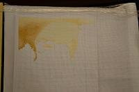 мандаринка 2.jpg