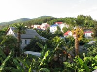 Вид у Виталия.jpg