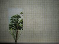 1. лист 28 мая.jpg