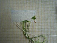 1. 24апреля.jpg