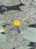 Изображение 012.jpg