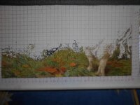 2015-04-16 07-44-36.jpg