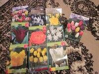 Изображение 1625.jpg