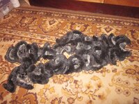 Изображение 1674.jpg