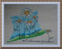 ромашки любимые.jpg