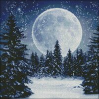 Kustom Krafts_9875 Winter Moon_Зимняя Луна.jpg
