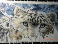 CIMG1433 (1024x768).jpg