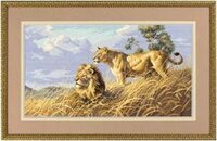 03866 African Lions.JPG