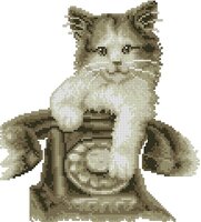 Котенок с телефоном.jpg