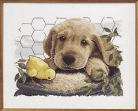 JCD 1301 Friends.JPG