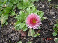 Изображение 003.jpg