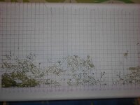 2015-03-09 00-35-40.jpg