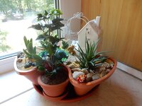 2016-06-04 10-48-30.jpg