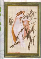 два розовых какаду 2.jpg