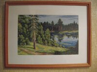 СОСНЫ У ОЗЕРА.jpg