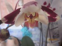 Изображение 212.jpg