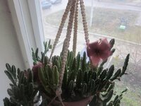 Изображение 2861.jpg