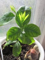 Изображение 1114.jpg