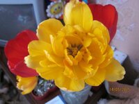 Изображение 2615.jpg