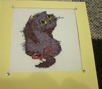 Изображение 31880.jpg