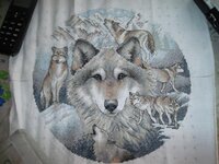 Dimensions35084 Call of the wol.jpg