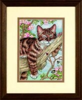 спящий котенок Dimensions.jpg