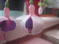 Изображение 521.jpg