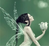 QS Lily of the valley.jpg