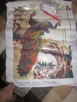 Изображение 1499.jpg