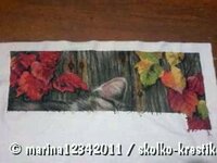 марина 17.11.14.jpg