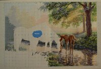 IMG_0259 копия.jpg