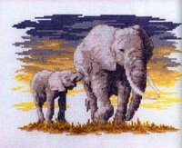 CS African Elephants.jpg