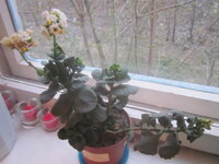 Изображение 32891.jpg