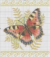 бабочка красив.jpg