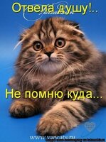 отвела душу.jpg