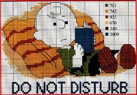 не беспокоить!.jpg