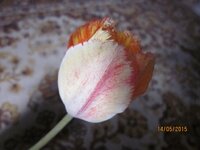 Изображение 2614.jpg