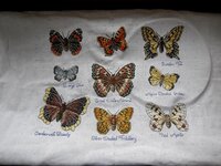 робин для Тони общий.jpg