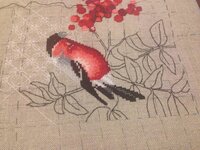 2014-02-28 04-27-22.jpg