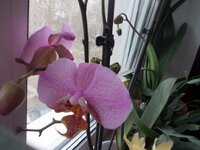 Изображение 1 005.jpg